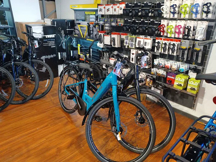 Trek Bicycle Detroit Midtown Picture 1