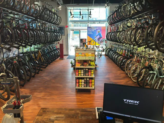 Trek Bicycle Detroit Midtown Picture 7