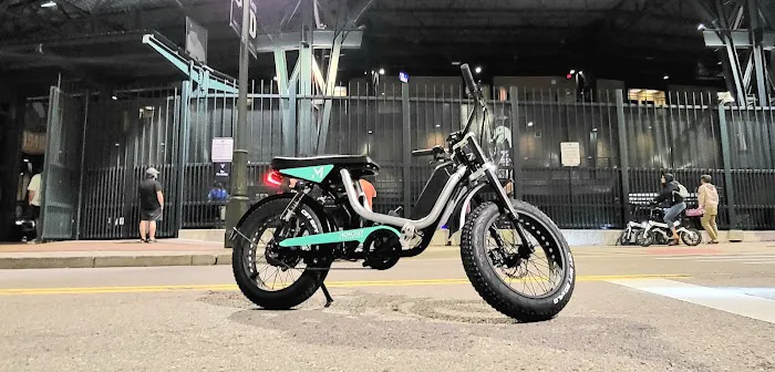 DMWelectric.bike Picture 1
