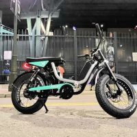 DMWelectric.bike ico
