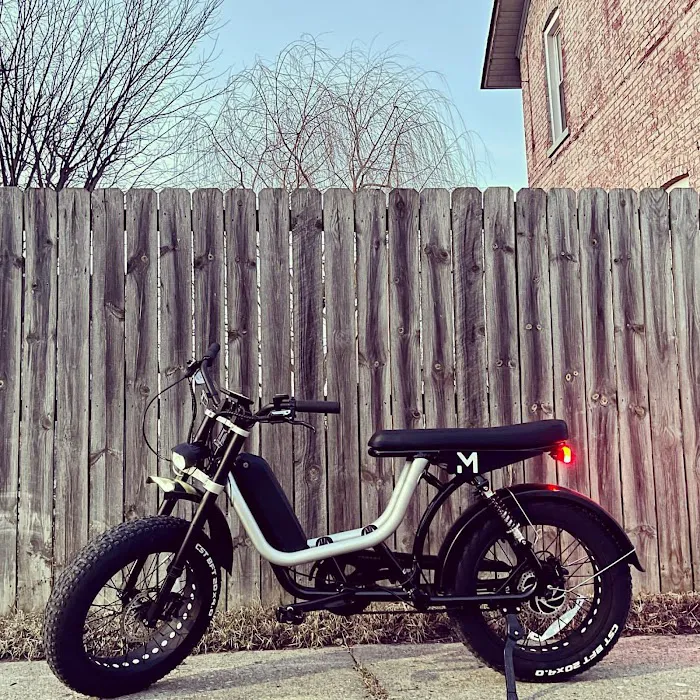 DMWelectric.bike Picture 9