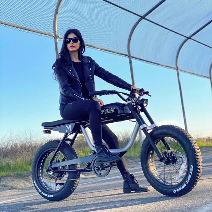 DMWelectric.bike Picture 6