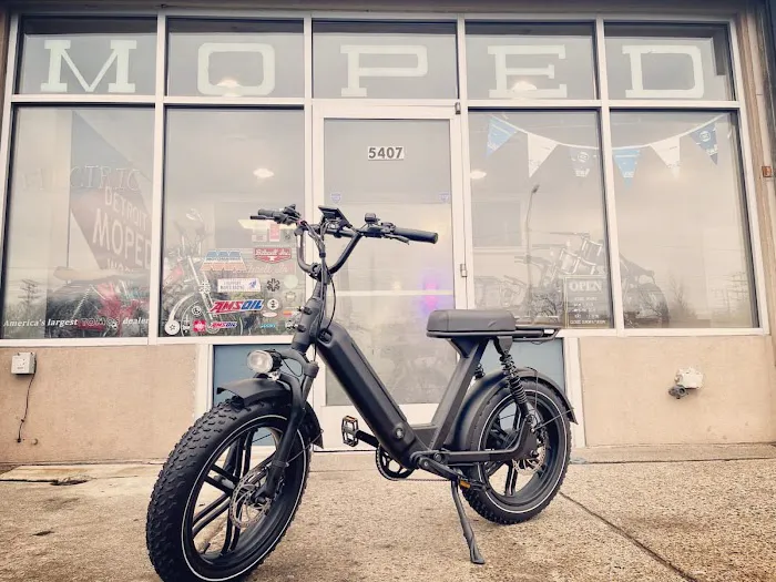 DMWelectric.bike Picture 8