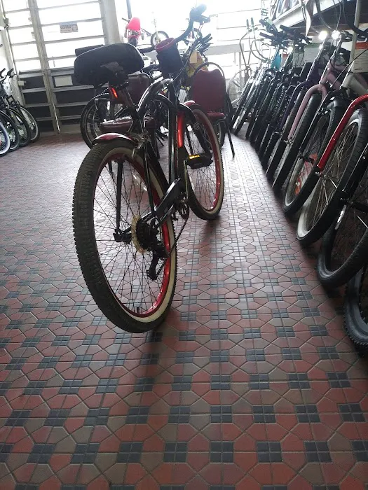 Eddie's Bike Shop Picture 6