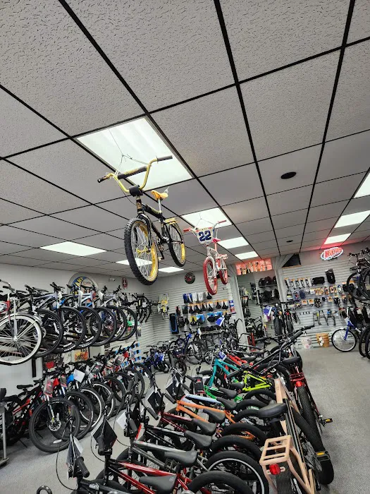 Roll Models Bike Shop Picture 2
