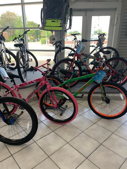 Roll Models Bike Shop Picture 7