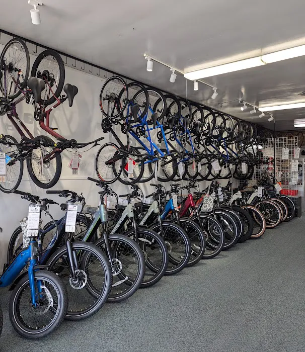 Truebicycles Picture 1