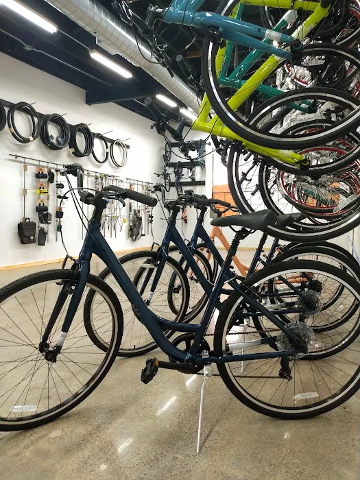 Metropolis Cycles - Ferndale Picture 6