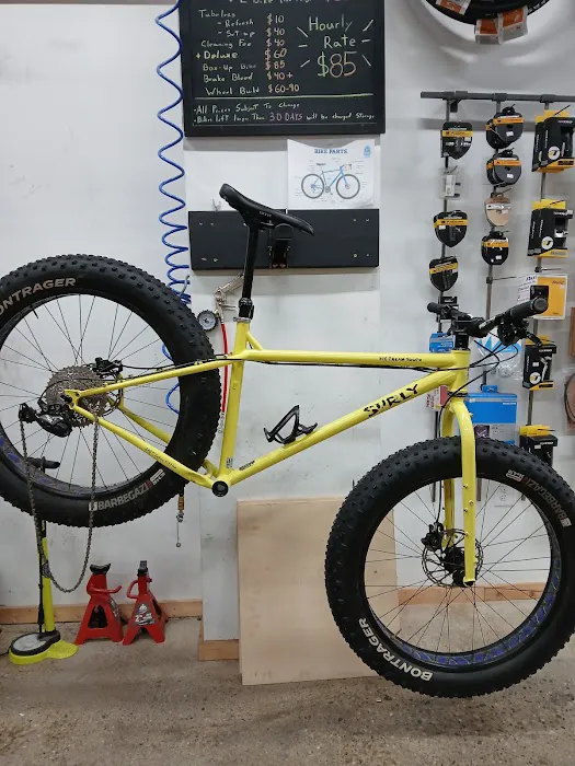 Metropolis Cycles - Ferndale Picture 9