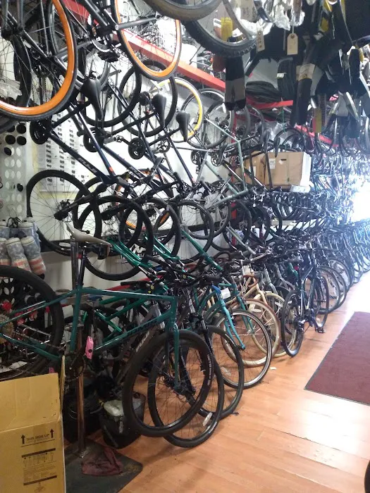 Downtown Ferndale Bike Shop Picture 5