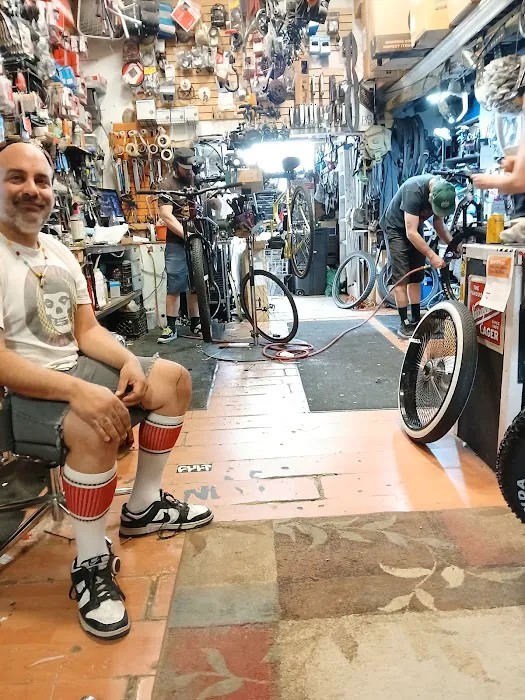 Downtown Ferndale Bike Shop Picture 8