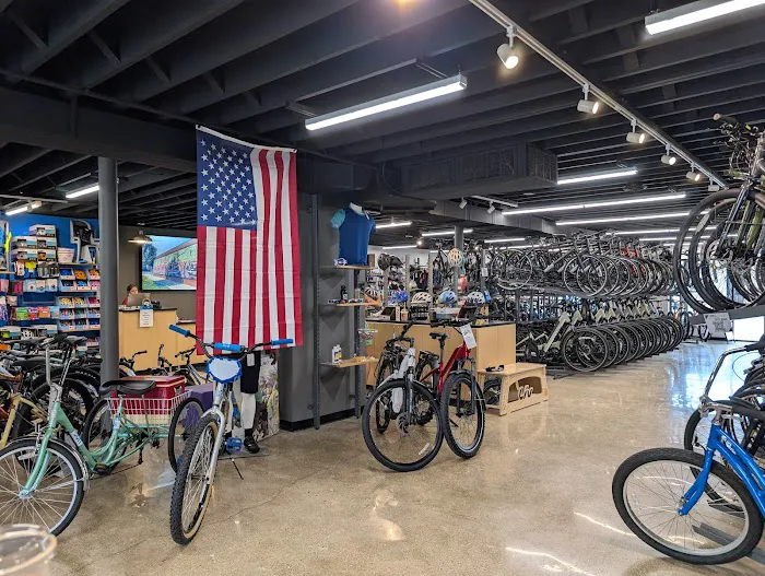D&D Bicycles - Berkley Picture 1