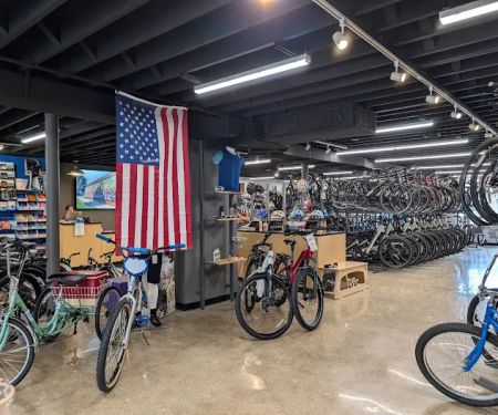 D&D Bicycles - Berkley