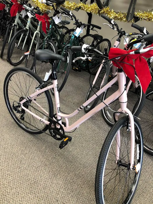 D&D Bicycles - Berkley Picture 8