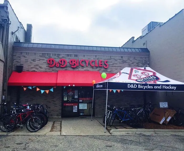 D&D Bicycles - Berkley Picture 4
