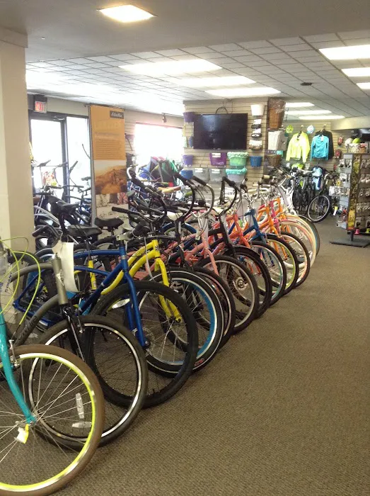 D&D Bicycles - Berkley Picture 3