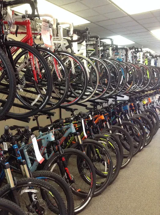 D&D Bicycles - Berkley Picture 9