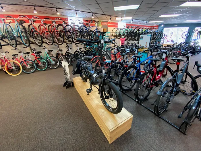 Trek Bicycle Grosse Pointe Picture 3