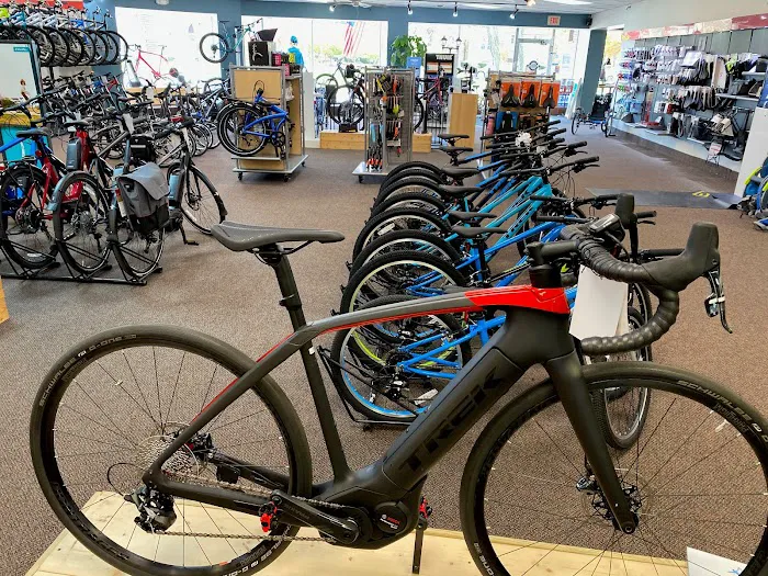 Trek Bicycle Grosse Pointe Picture 8
