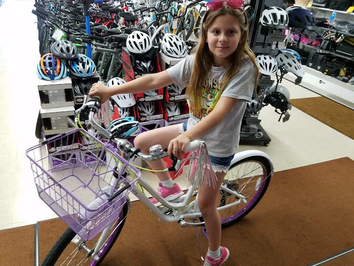Allied Cycle Shop Picture 2