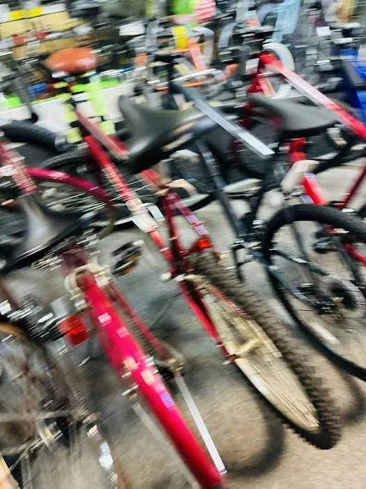 Paul's Bike Depot Picture 7