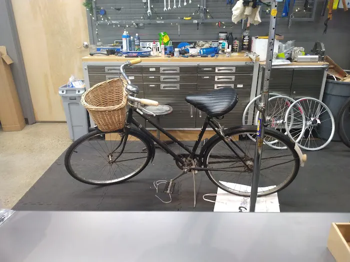 D&D Bicycles - Westland Picture 1
