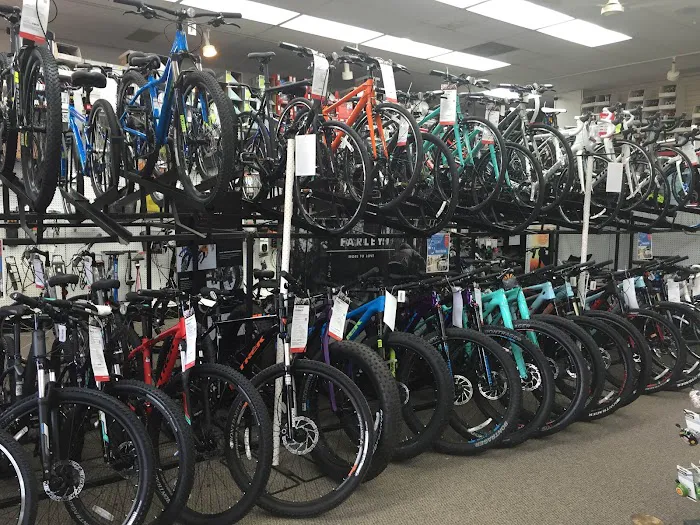 D&D Bicycles - Westland Picture 6
