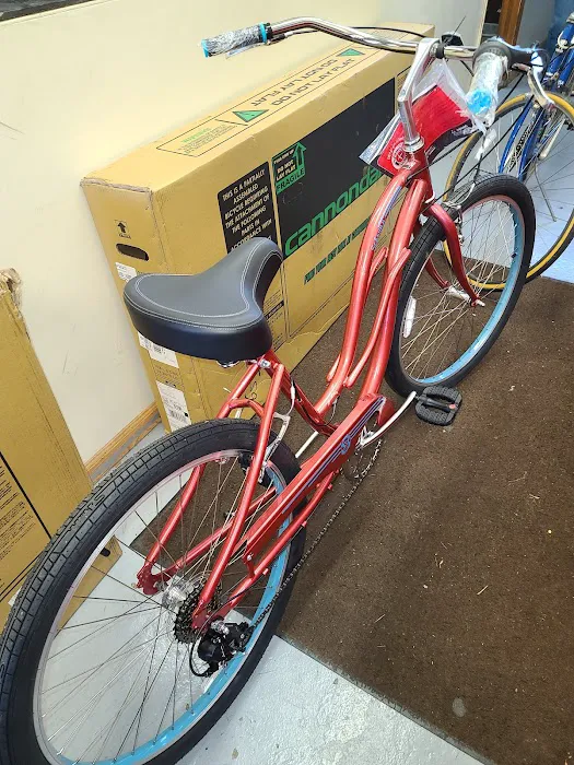 International Bicycle Shop Picture 10