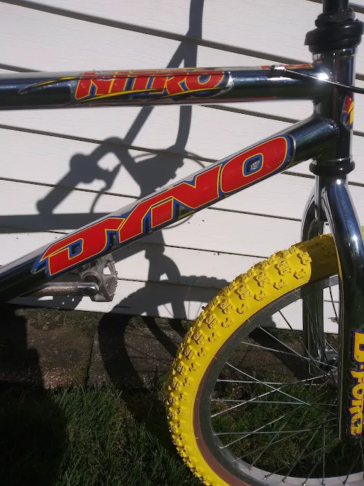 International Bicycle Shop Picture 7