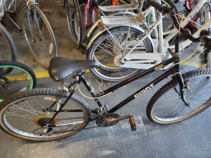 Town N Country Bikes Picture 1