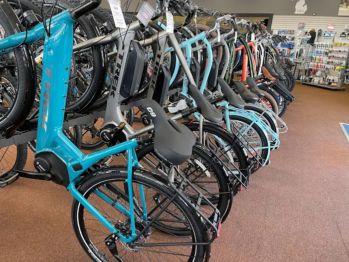 Petri Bikes Picture 4
