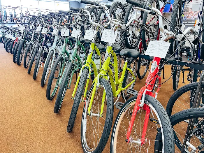 Petri Bikes Picture 9