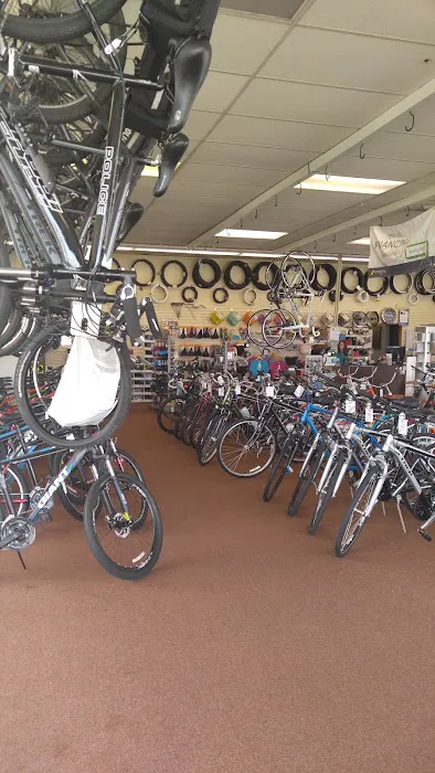 Petri Bikes Picture 5