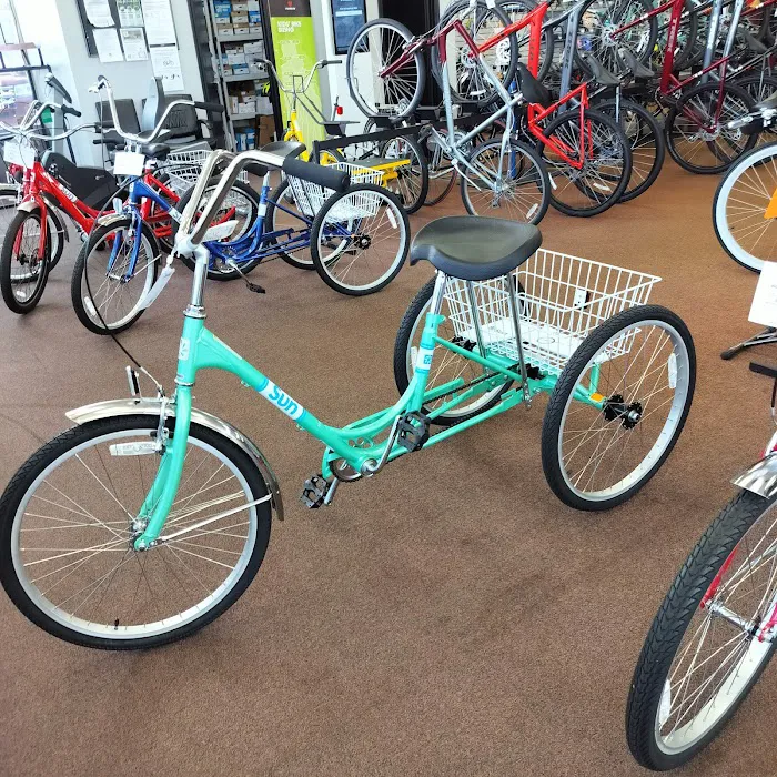 Petri Bikes Picture 10