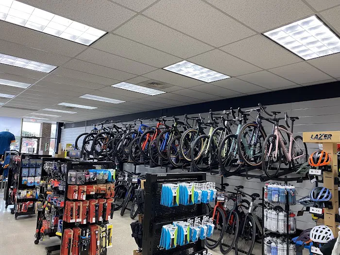 Motor City Bicycle-Livonia Picture 4