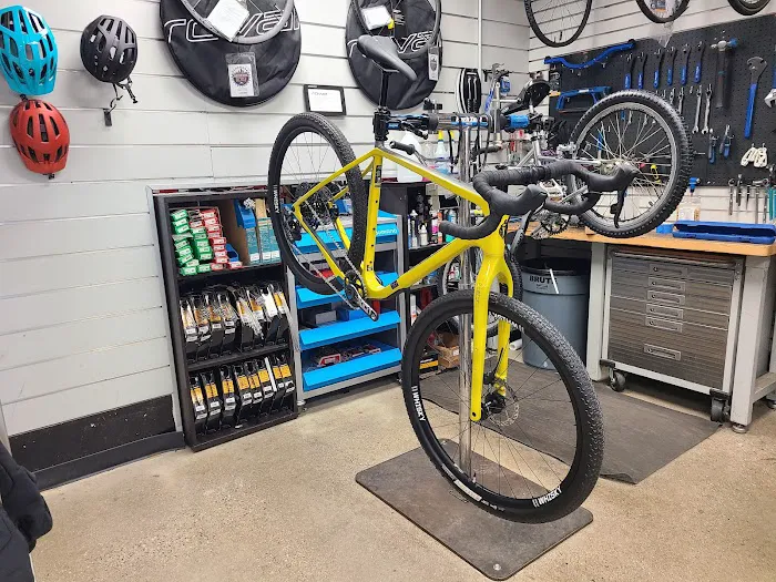 Motor City Bicycle-Livonia Picture 10