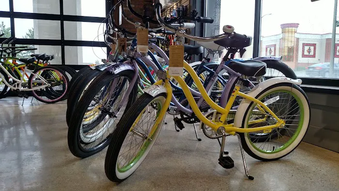 Albe's BMX Bike & Skateboard Shop Picture 5