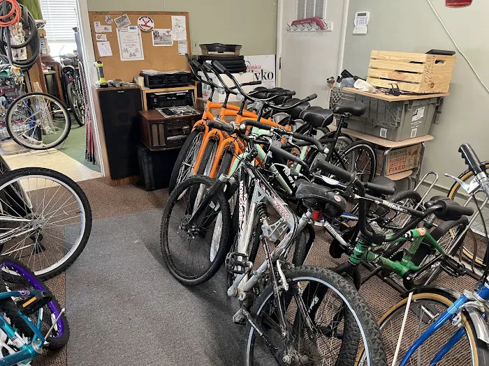 Lumpy's Bike Shop Picture 2