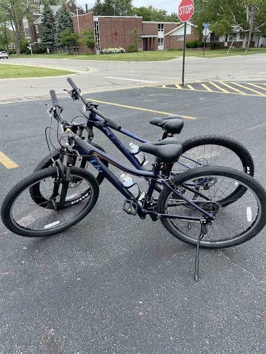 Metro Bike Picture 1