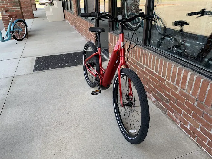 Metro Bike Picture 5