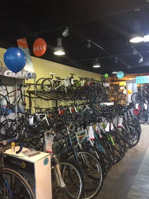D&D Bicycles - Northville Picture 3