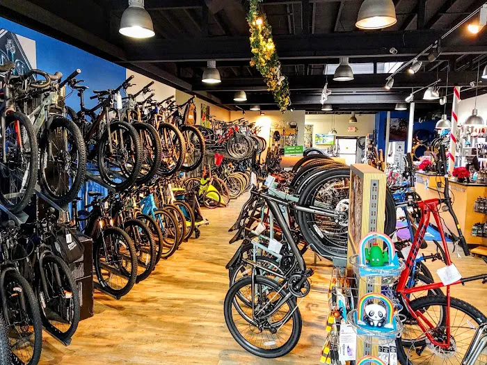 D&D Bicycles - Northville Picture 6