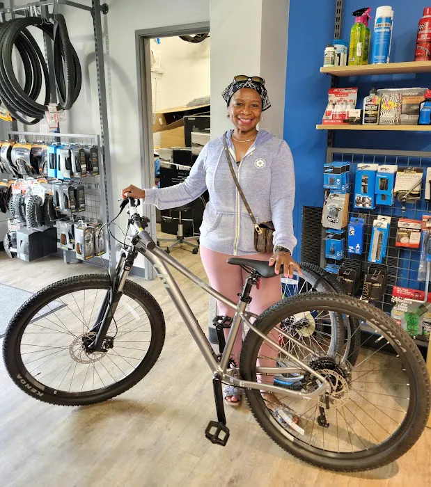 D&D Bicycles - Northville Picture 1