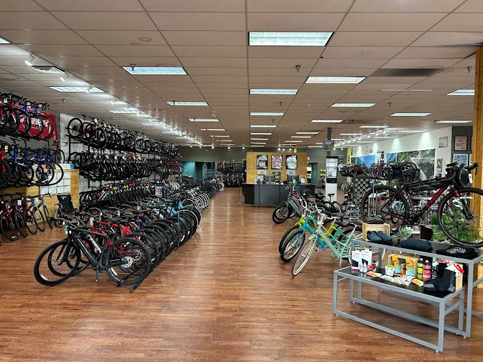 Trek Bicycle Walled Lake Picture 6
