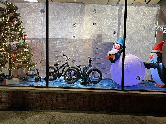 Rochester Bike Shop Picture 2