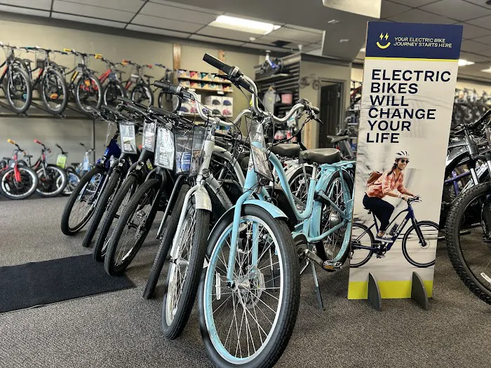 Rochester Bike Shop Picture 8