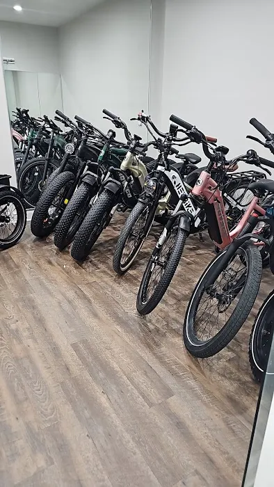 Ebike FutureEV Escooter Picture 4