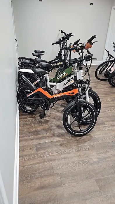 Ebike FutureEV Escooter Picture 7