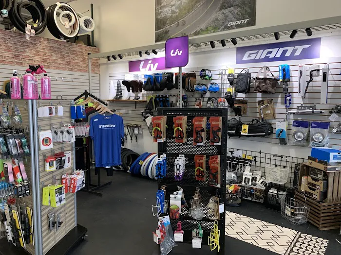 Anchor Bay Bike Shop Picture 1