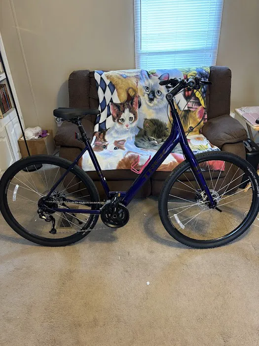 Anchor Bay Bike Shop Picture 5